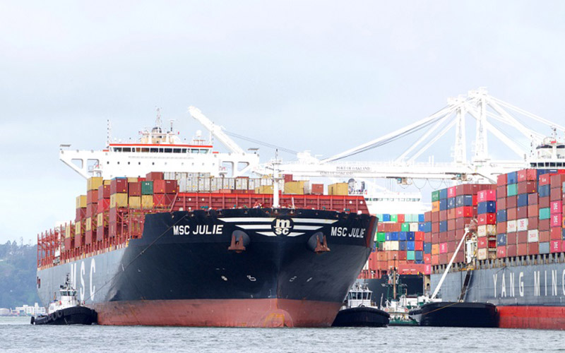 Sea Freight Companies in Dubai UAE